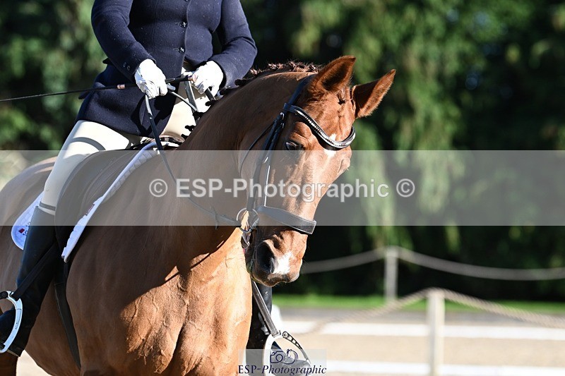 231110-131259-00882 - Cls 4 Novice 39Q