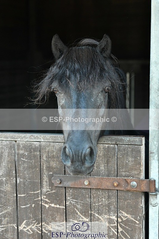 230817-083028-02405 - Stable Shots