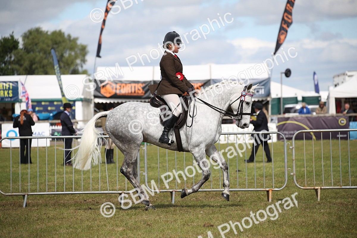 SBM_13321 - Class 95-96 - LIHS BSHA Rising Star Hack Riding Horse