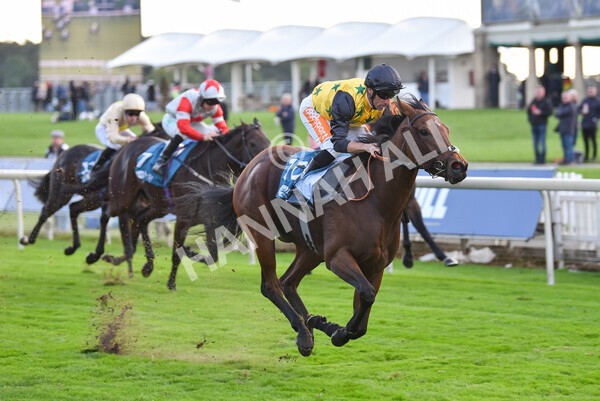 yr07102022r5-25 - Race 5 4.25pm Copper Knight Winningmost Horse Stakes