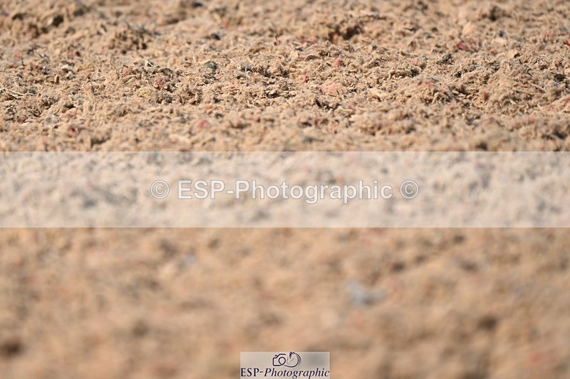 250620-162651-04510 - BD Cls 13 - Adv Medium 5