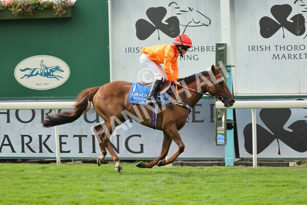yr04092022p2-47 - 12.50pm. 148cm Open Pony Race