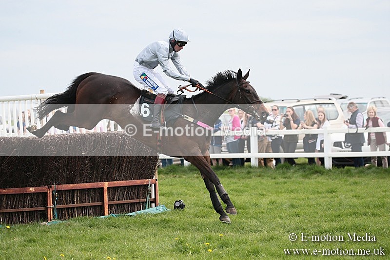 PtP 210418 217 - South & West Wilts Point-to-Point Larkhill 21/04/18