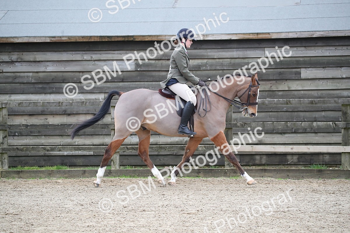 SBM_004647 - Class 5-9 - NPS In Hand-Show Hunter-Intermediate Ridden Inc Ridden Championship
