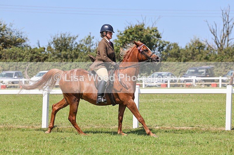 IMG_2248 - Class 37: Pure, Anglo & Part Bred Ridden Arab