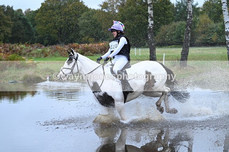 WJ7_2940 - 90cm Cam 2 Water Time 13:29 to 13:47