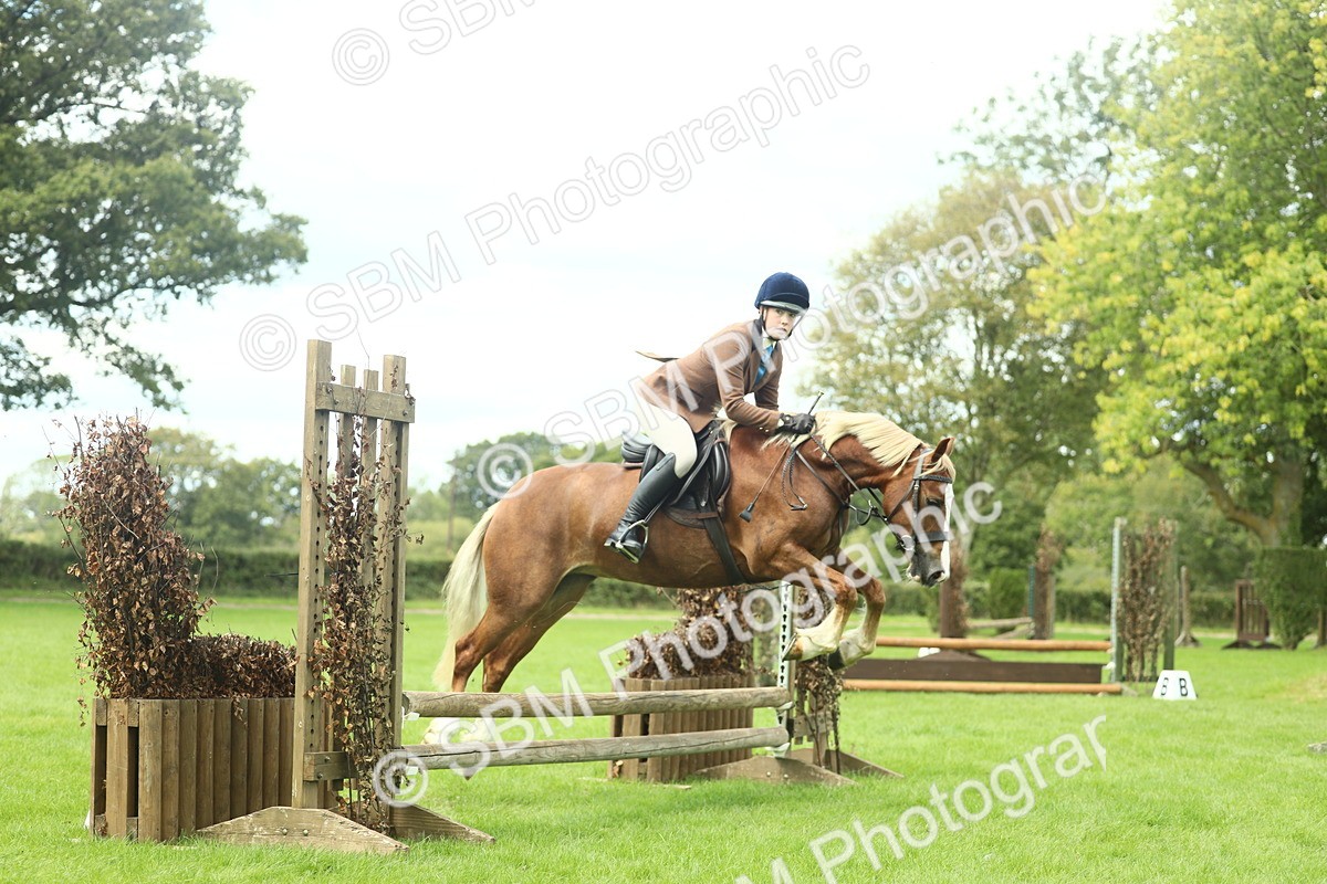 SBM_42826 - S30 - M&M Working hunter Pony