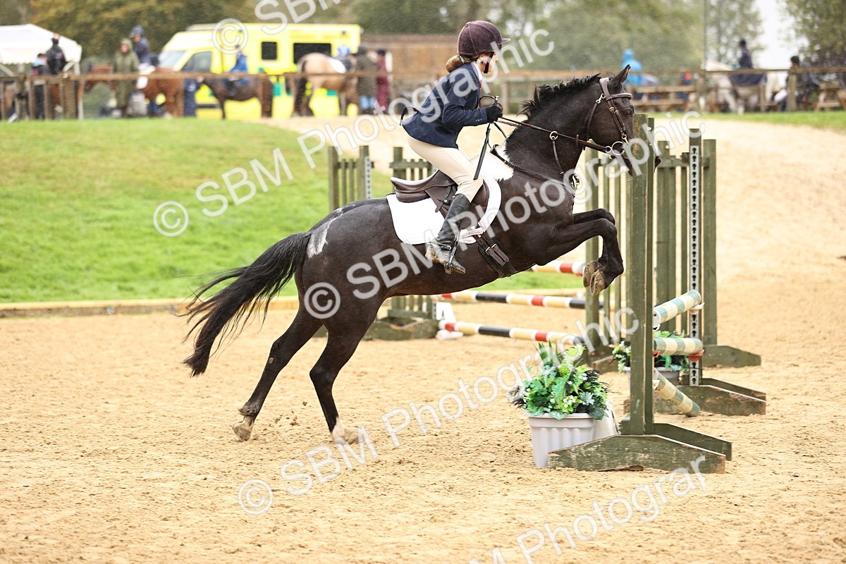SBM_69971 - Supreme Championship 80cm 85cm