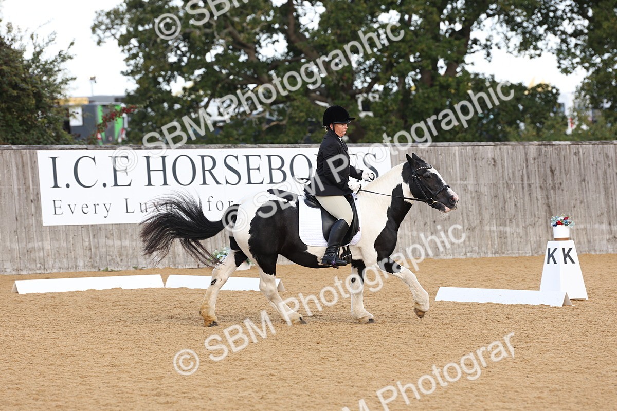 SBM_16215 - D10 - Small Tour Championship Prelim 2