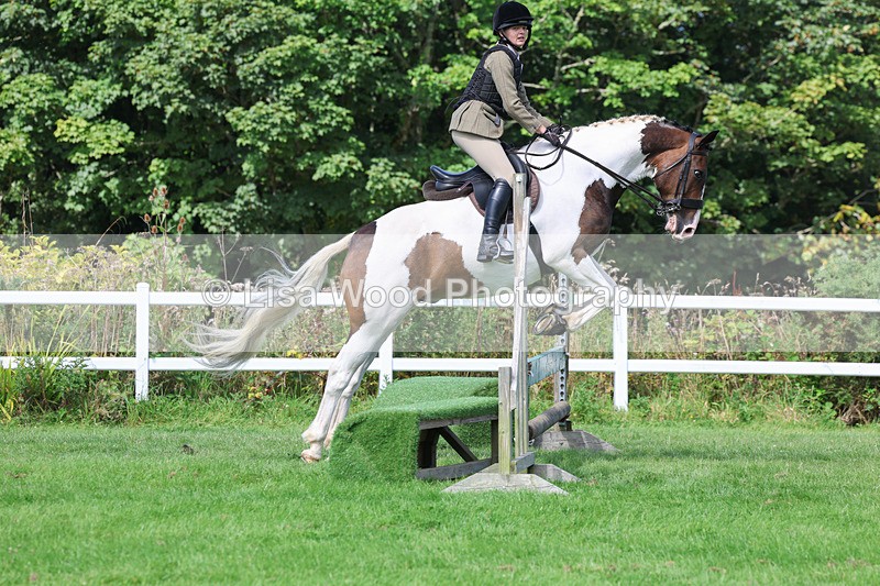 3E7A8602 - Class 5: Working Show Horse