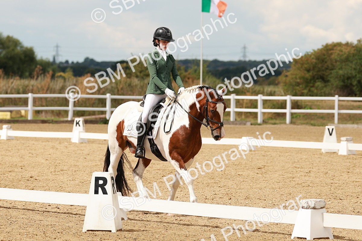 SBM_001971 - Class 8 - Elementary 6