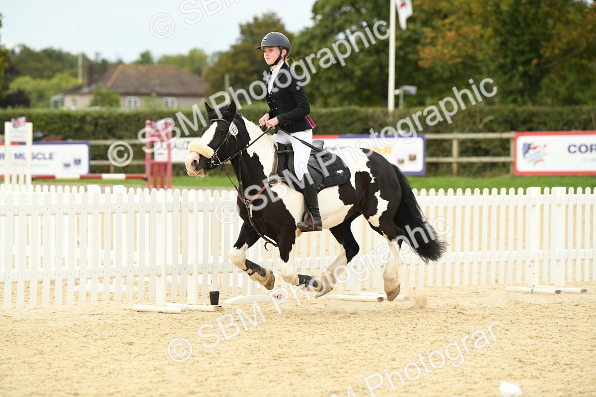 SBM_75895 - Supreme Championship