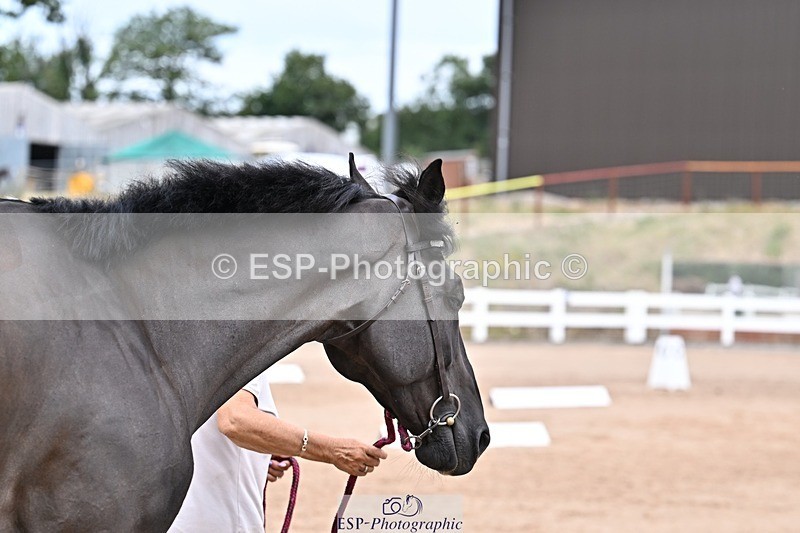 250716-134946-00682 - Trot Up 1.30 to 2.30