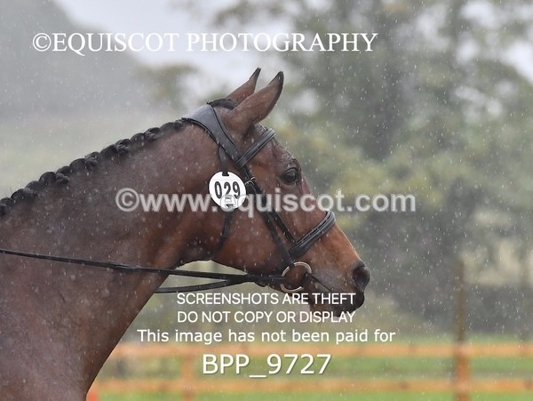 BPP_9727 - INTRO 3