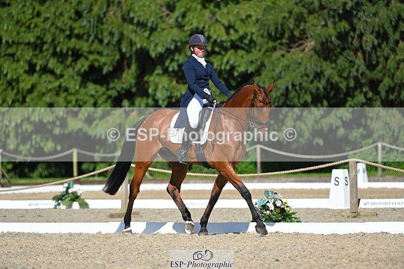 230526-160510-07256 - 253-MY_EASTWOOD_BRIGHTSIDE-Darcy_Zander-WEDTrotUp+DR