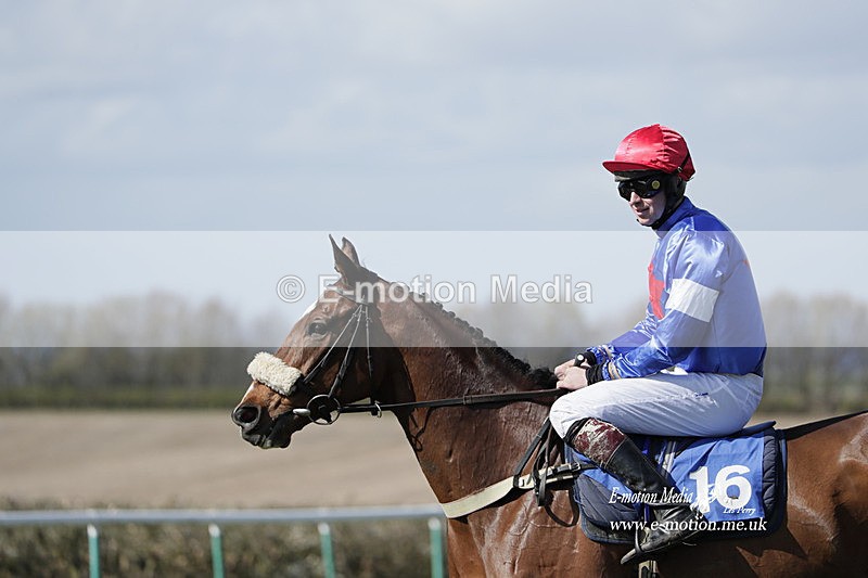 PtP 100423 722 - Old Berkshire Point-to-Point Lockinge 10/04/23