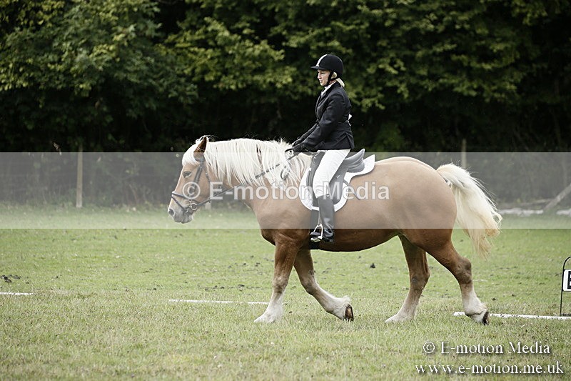 BVR080918 137 - BVRC Novice Dressage & CR 08/09/18