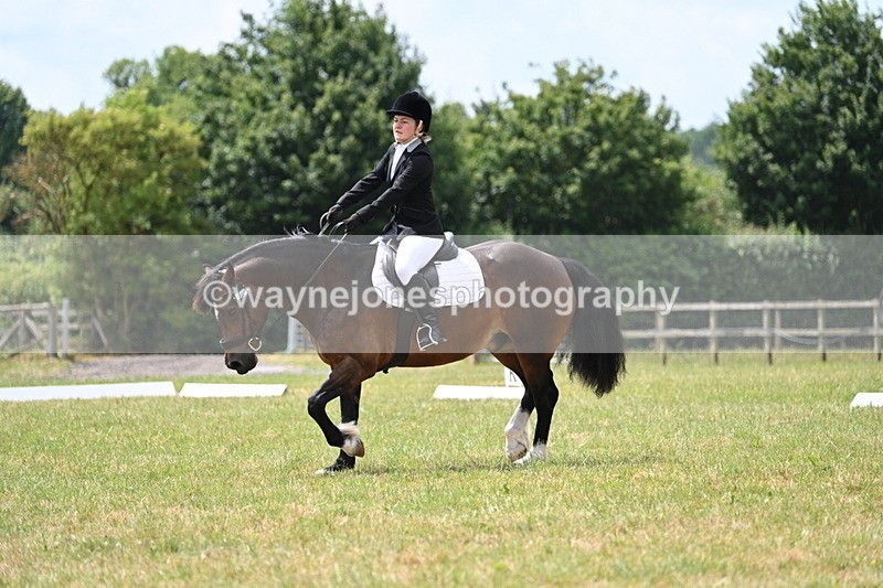 WJ7_5627 - Time 11:52 to 12:10