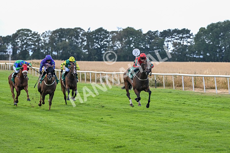 010826-Race 7-Maldevious-3465 - Race 7 16.55pm John Joseph Robson Memorial Handicap