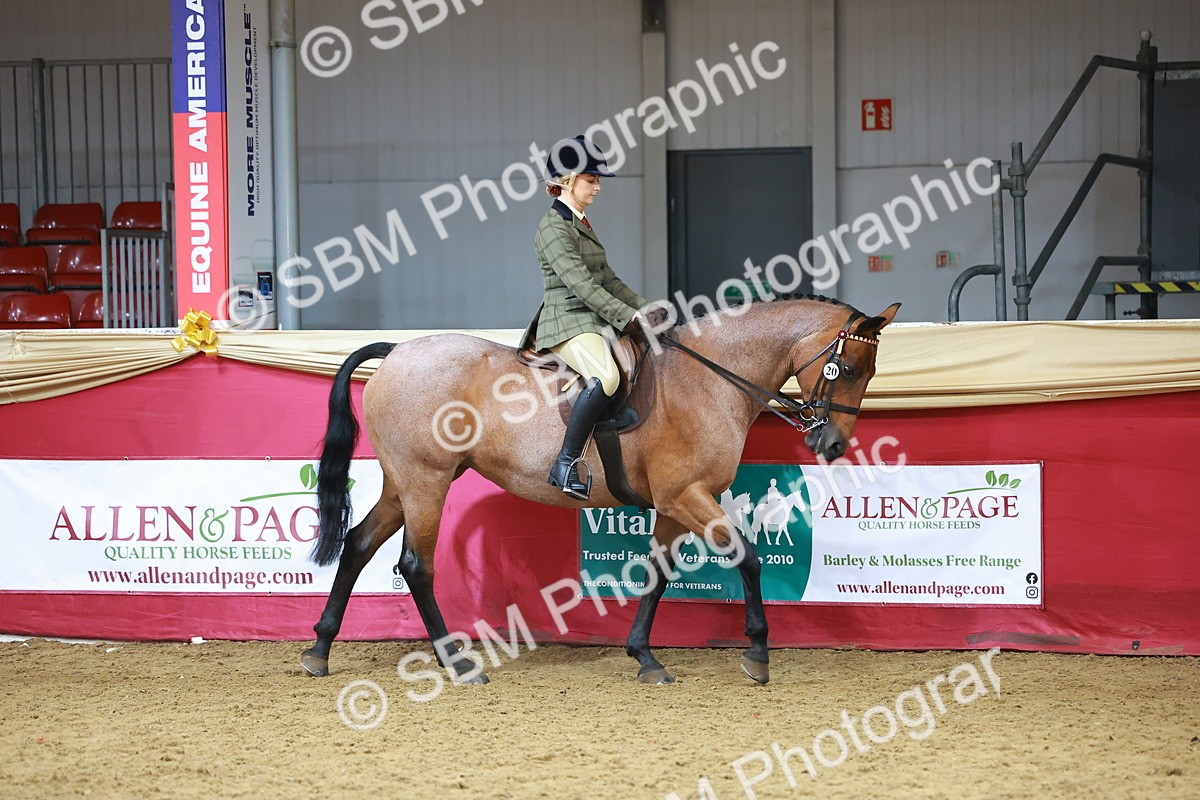 SBM_09345 - Class 102 - HOYS Veteran Qualifier - Ridden Veteran