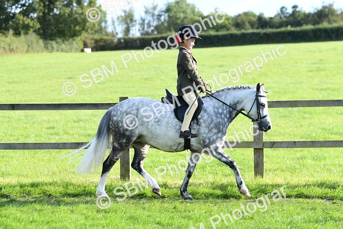 SBM_52385 - S22 - 1st Ridden Show & Show Hunter Pony