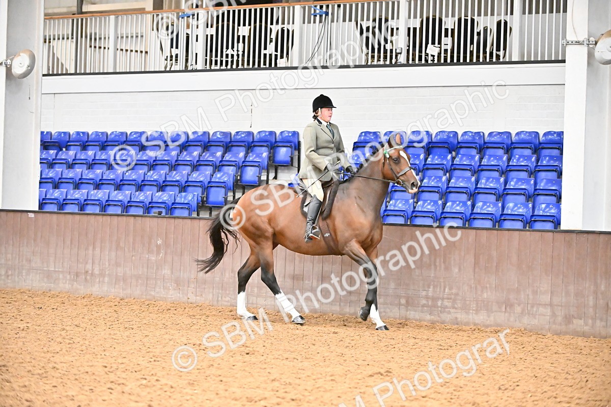 SBM_001898 - Class 25 - Tattersalls ROR Amateur Ridden