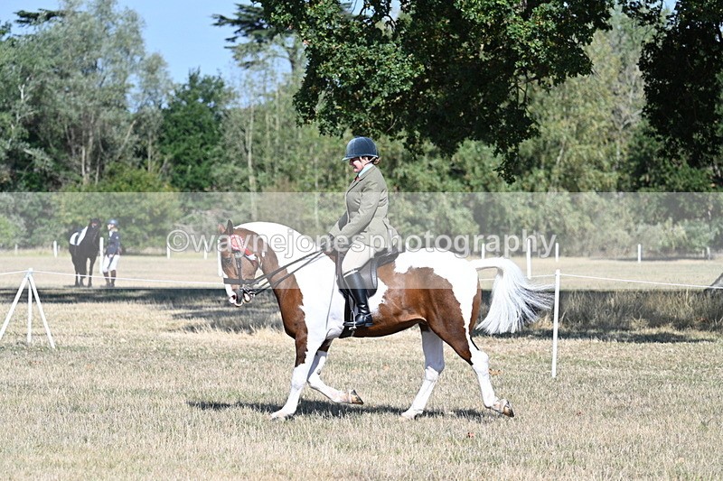 WJ7_3239 - Class 8 Ridden Tack & Turnout