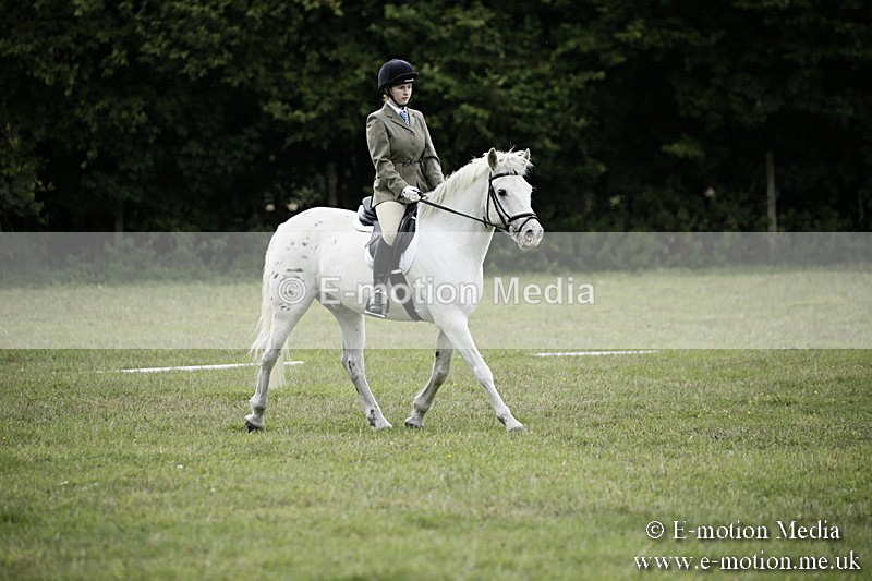 BVR080918 355 - BVRC Novice Dressage & CR 08/09/18