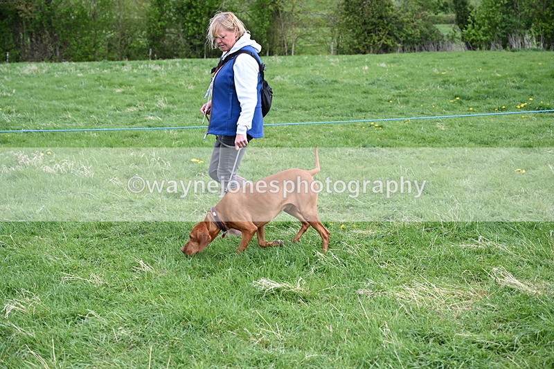 WJ6_8079 - Class 2 Best Pedigree