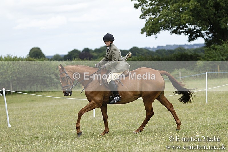 BVR160717-2238 - Ring 3 BVRC Show 16/07/17