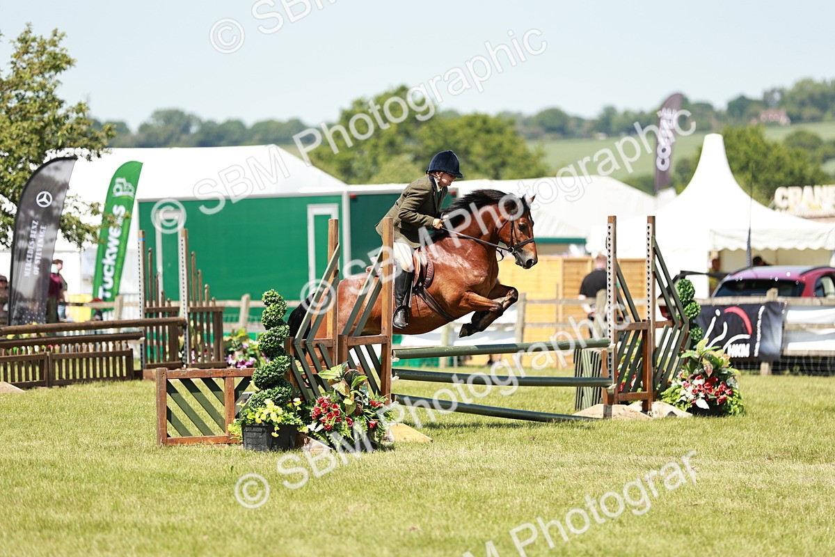 SBM_17350 - Class 110-111 - Training Stakes (70cms 80cms)