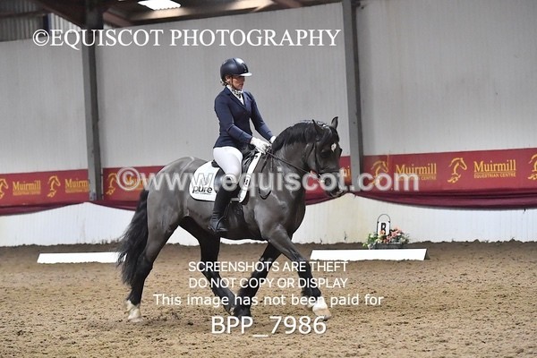 BPP_7986 - ELEM TEST 6