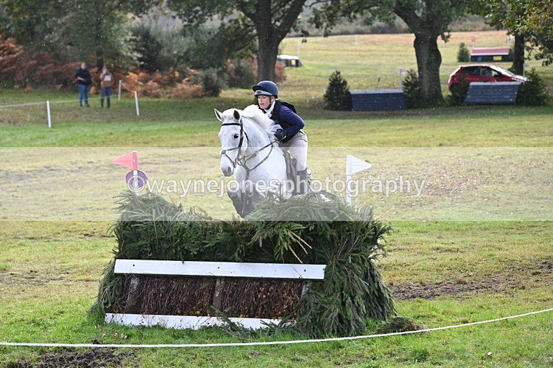 WJ6_2010 - 80cm Cam 1 Time 10:47 to 11:22