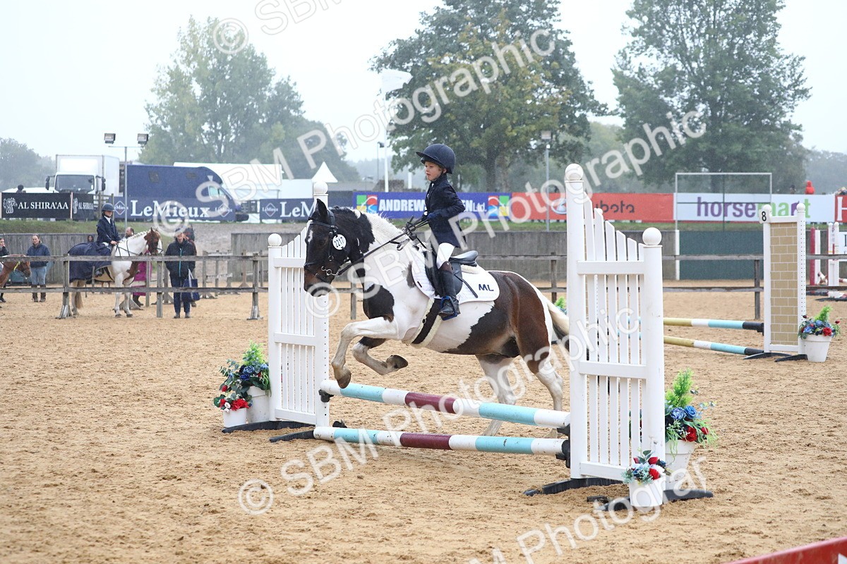 SBM_71814 - J4 - Mini Tour Junior Pony 45cm Championship