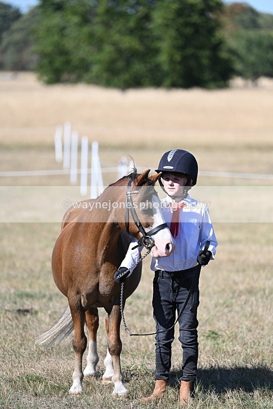 WJ7_2094 - Class 44 Child's Best Friend