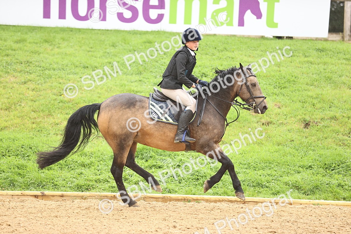 SBM_73373 - J19 - Junior Horse & Pony 90cm Supreme championship