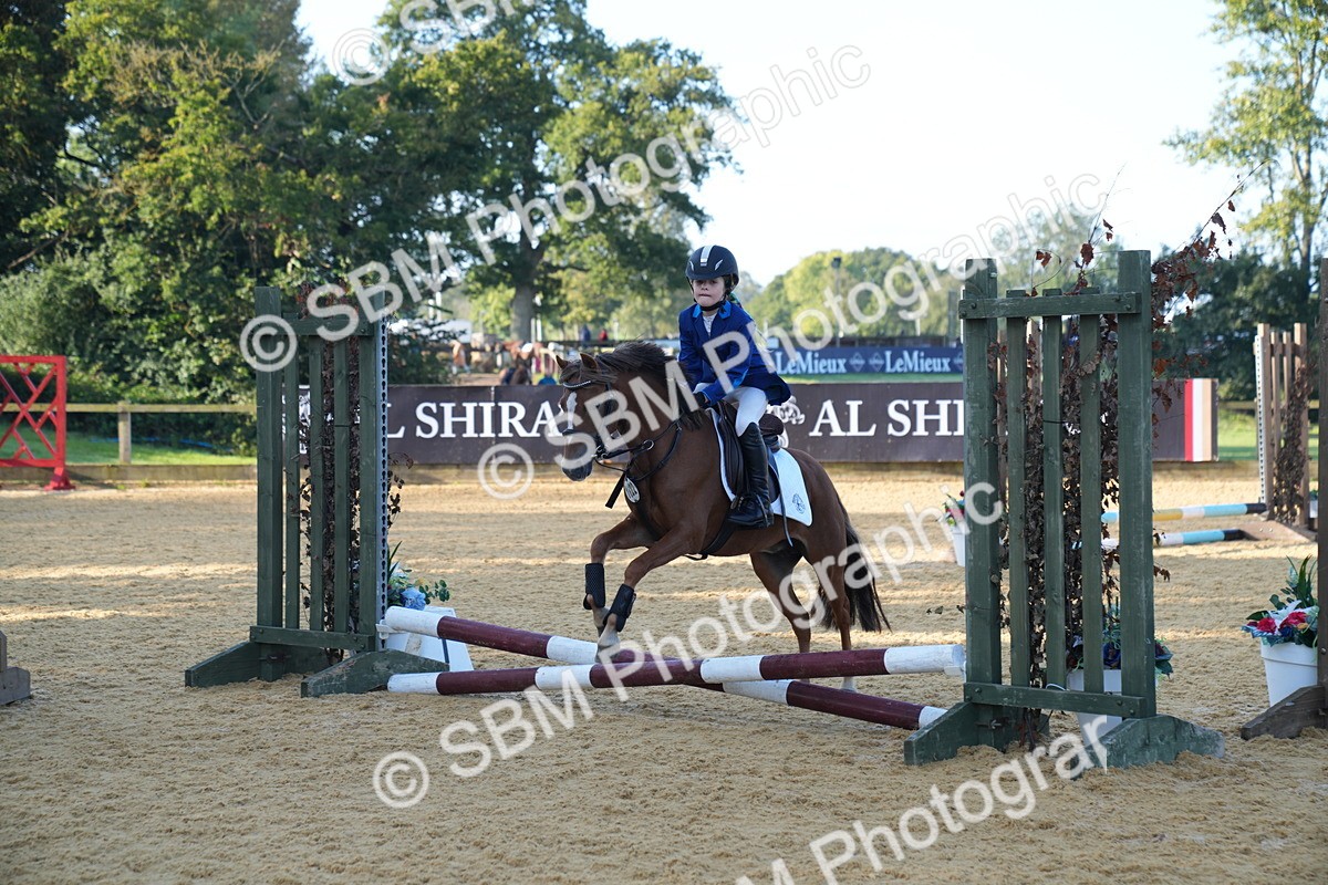 SBM_59023 - J63 - Minis Clear Round 30cm 40cm