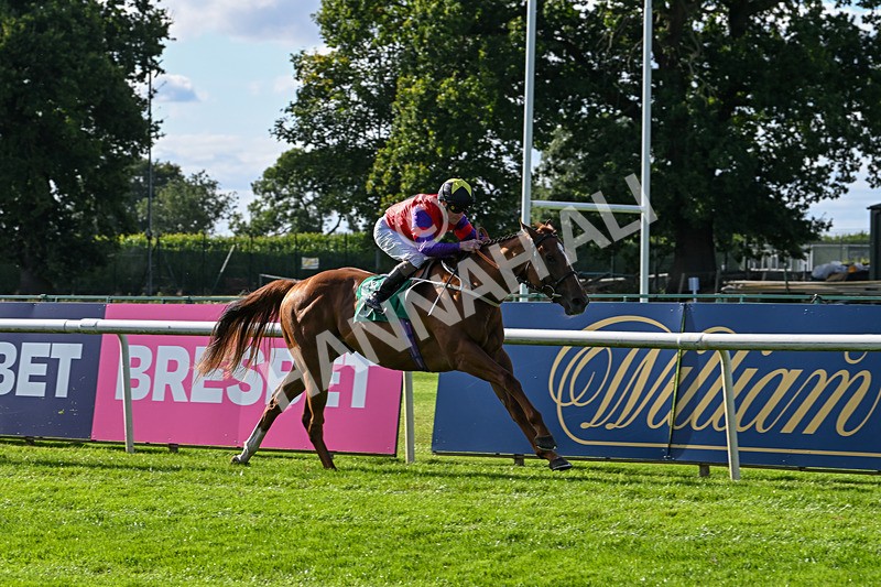 160824-Race 1-Thunder Wonder-8817 - Race 1