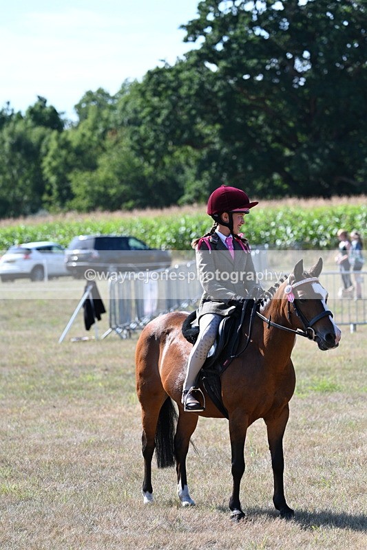 WJ7_3602 - Class 9 Mountain & Moorland Ridden