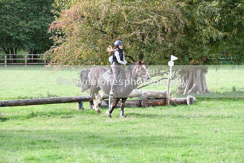 WJ5_0534 - Time 13:59 to 14:28