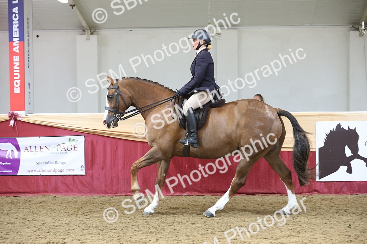 SBM_23799 - class 906 - Supreme Final - Ridden Pre Vet