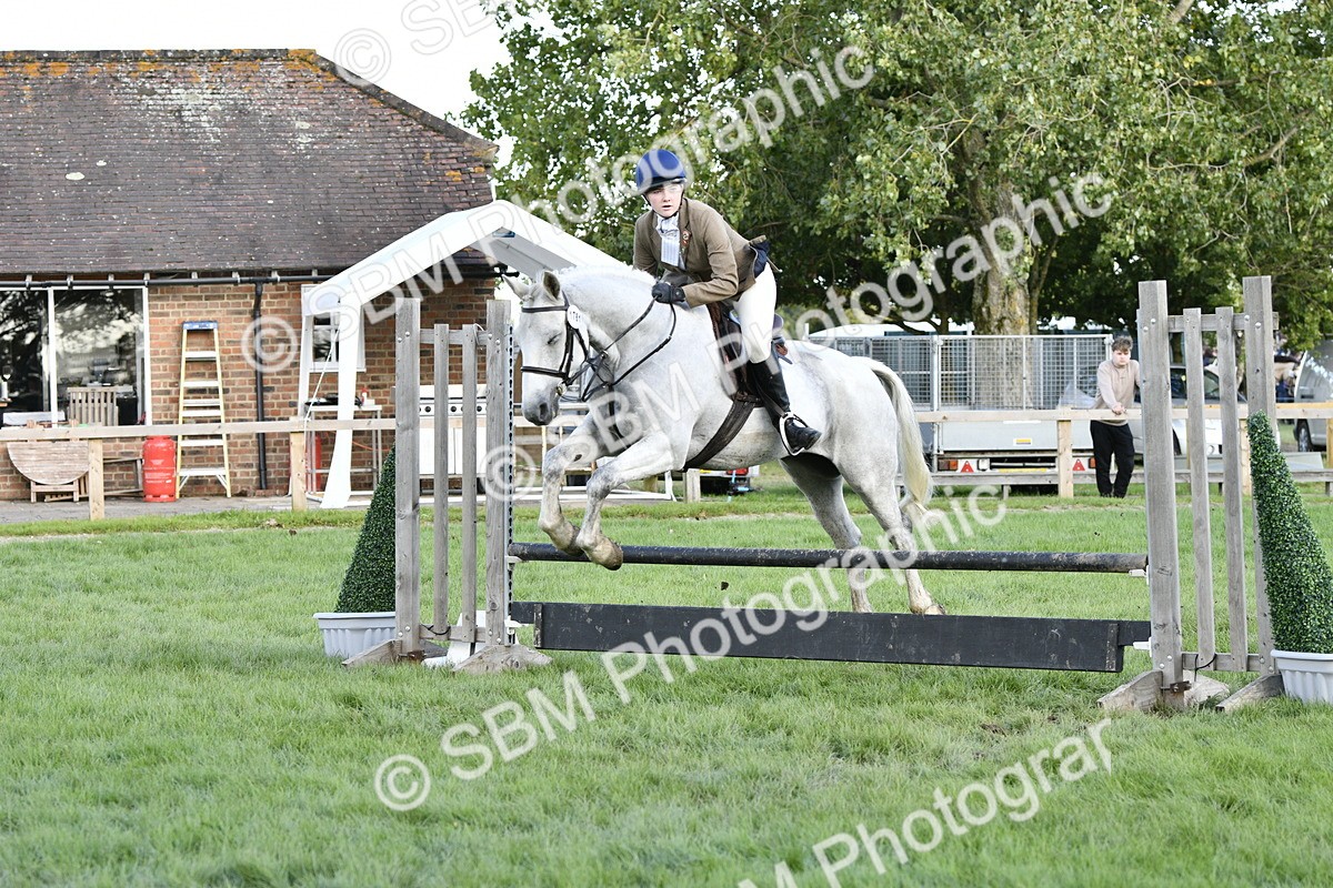 SBM_52140 - S35 - Working Hunter & Working Show Horse