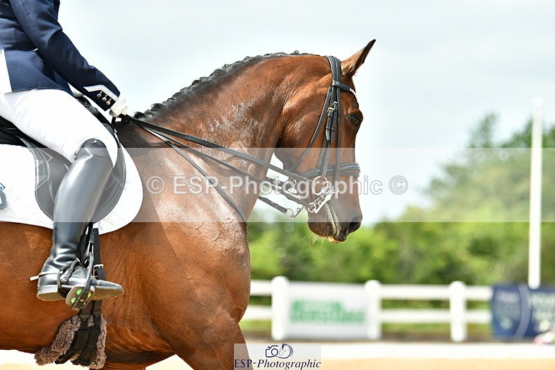 230701A-142722-06743 - Cls 11 Medium 73