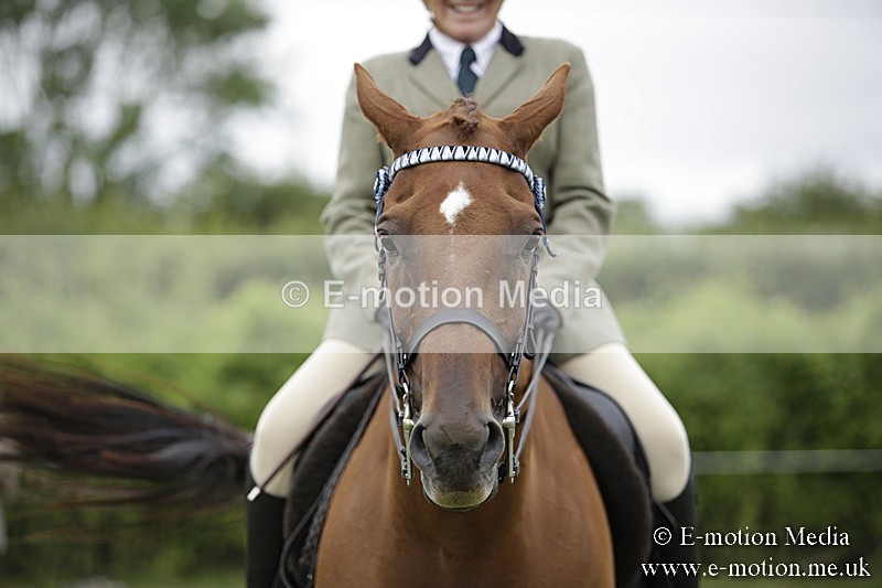 BVR160717-476 - Ring 1 BVRC Show 16/07/17