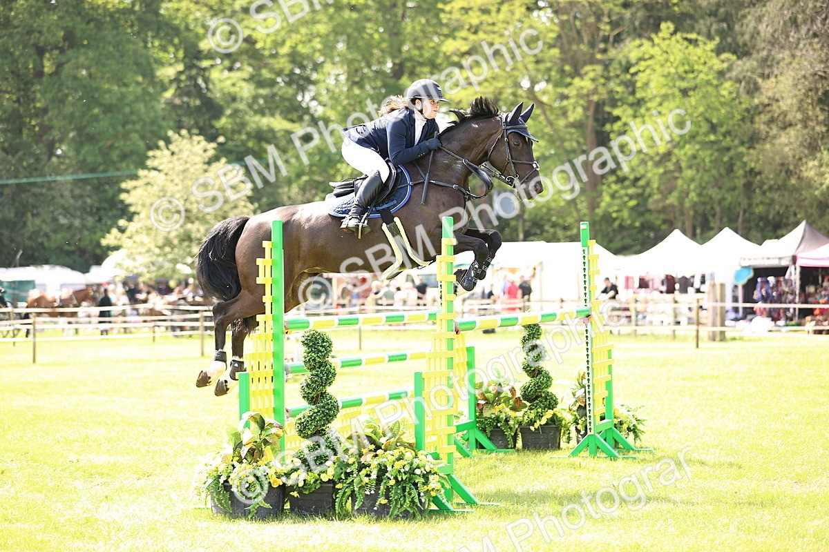 SBM_03073 - Class 201 - British Horse Feedds Speedi Beet HOYS Grade C