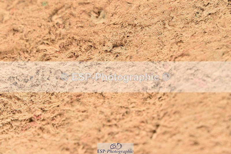 231122A-125446-00369 - Cls 4 Newcomers & 1.10m Open