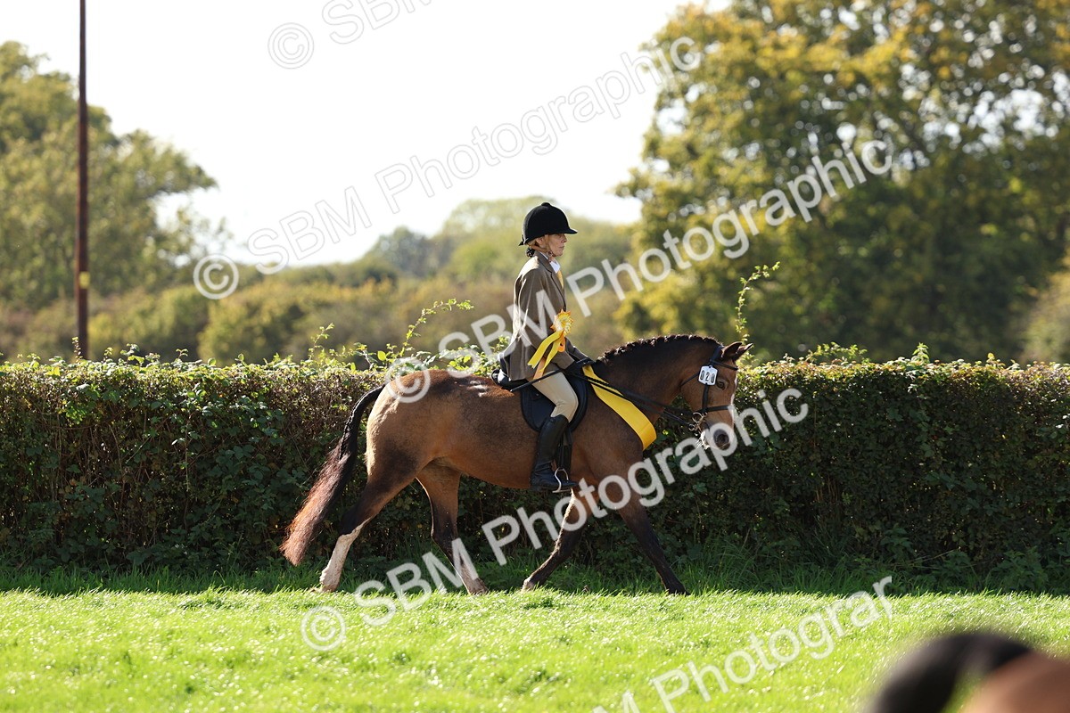 SBM_47878 - S28 - Veteran Ridden