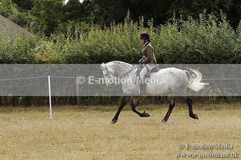 _BS_1043 - Working Hunter Championship BVRC Show 2018