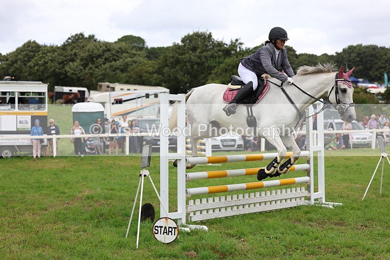 3E7A7243 - Class 5: Senior British Novice/90cm open