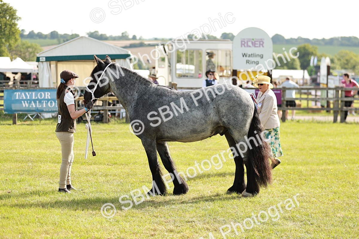 SBM_00739